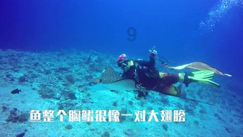 重生之星途璀璨